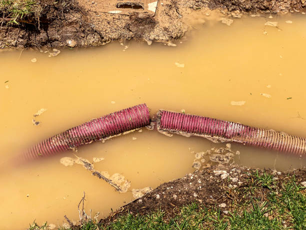 Best Carpet water damage restoration  in Milford, NE